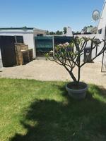 To Let 2 Bedroom Property for Rent in Parklands Western Cape